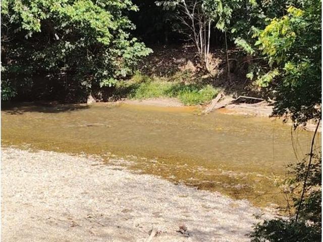 Finca en venta en Tolima