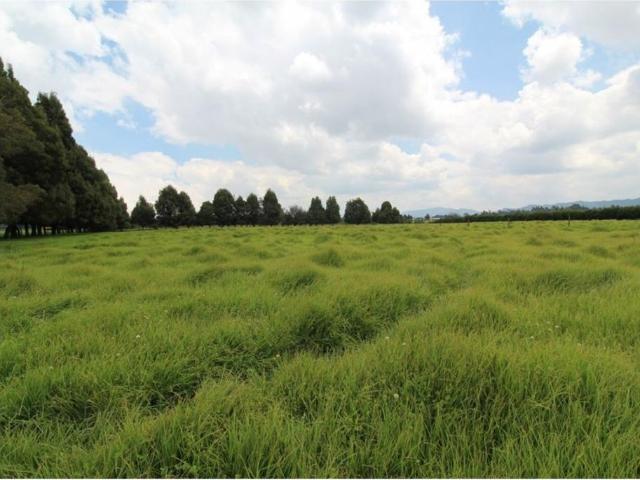 Finca en venta en Cundinamarca