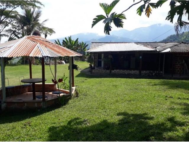 Finca en venta en Caldas, Filadelfia