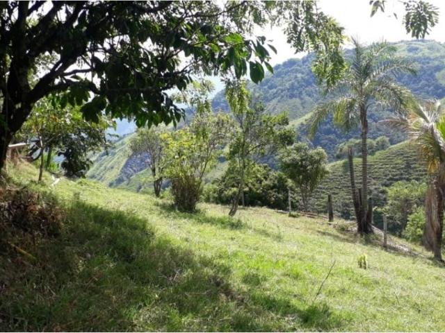Cortijo de alto standing en venta Filadelfia, Colombia