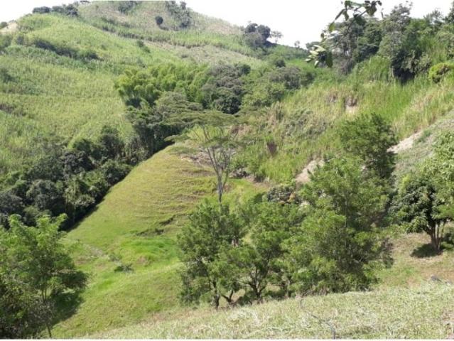 Cortijo de alto standing en venta Filadelfia, Colombia