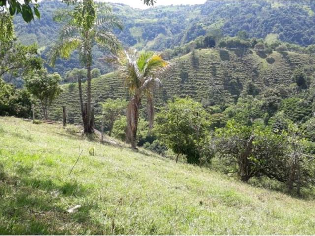 Finca en venta en Caldas, Filadelfia