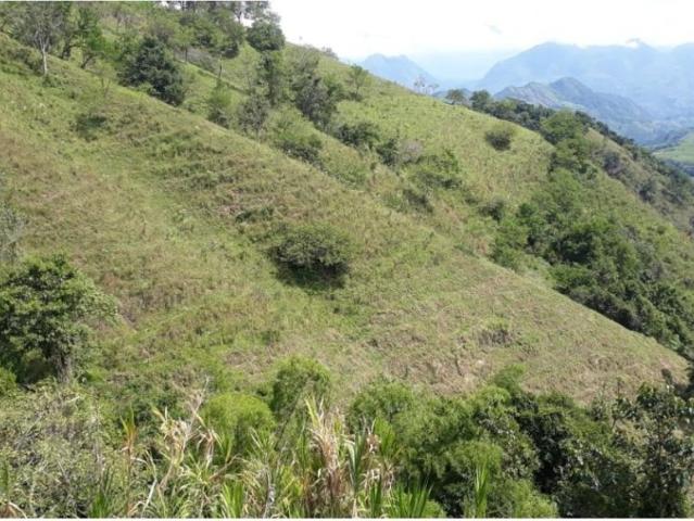 Cortijo de alto standing en venta Filadelfia, Departamento de Caldas