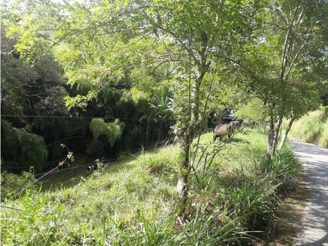 Cortijo de alto standing en venta Filadelfia, Departamento de Caldas