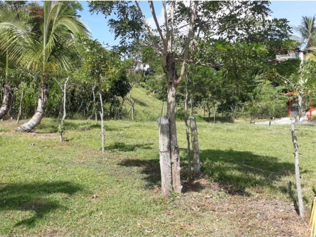 Cortijo de alto standing en venta Filadelfia, Departamento de Caldas