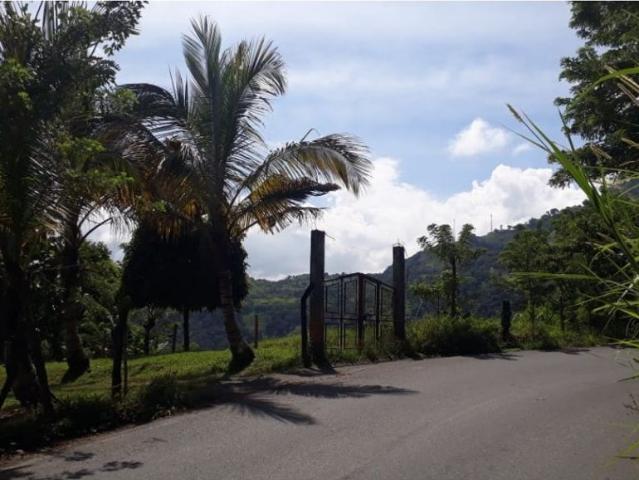 Cortijo de alto standing en venta Filadelfia, Departamento de Caldas