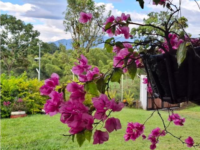 Finca en venta en Quindío