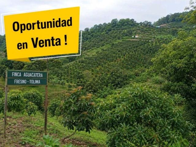 Finca en venta en Tolima