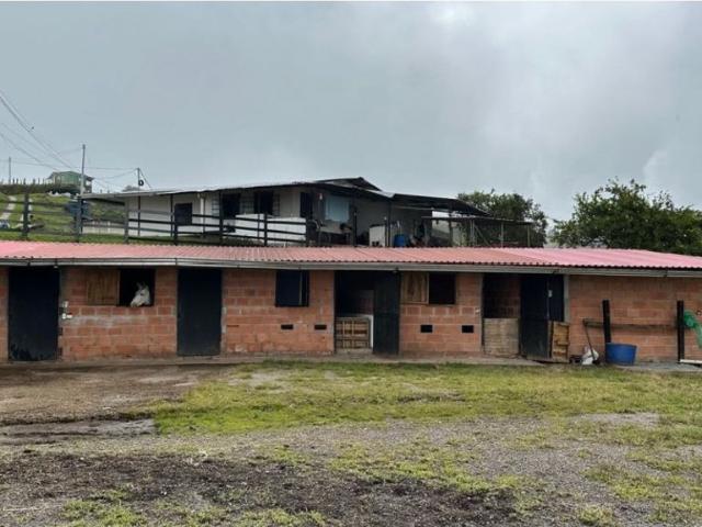 Finca en venta en Tolima