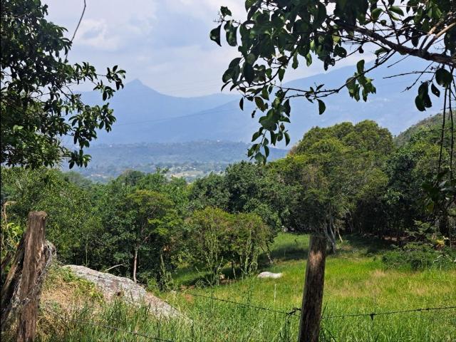Cortijo de alto standing en venta Fusagasugá, Colombia
