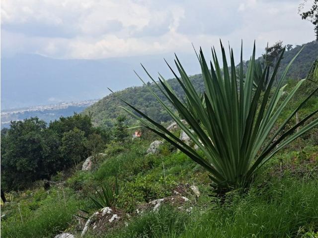 Cortijo de alto standing en venta Fusagasugá, Colombia