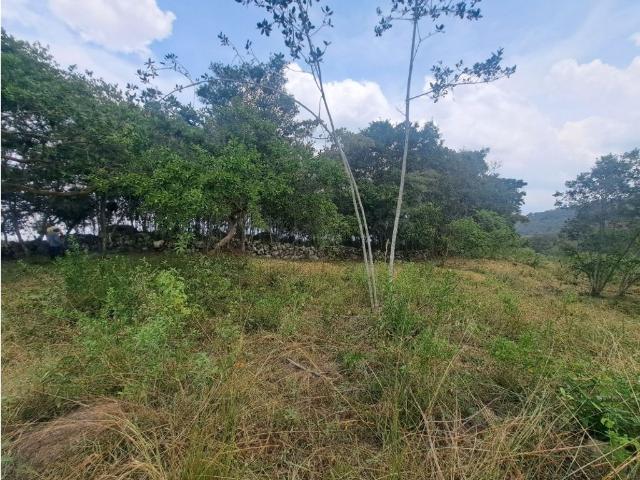 Cortijo de alto standing en venta Fusagasugá, Colombia