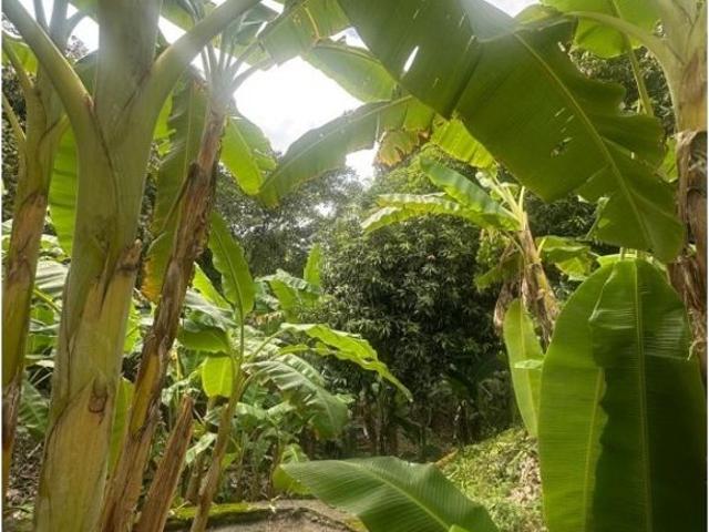 Cortijo de alto standing en venta Girardot City, Colombia