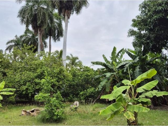 Cortijo de alto standing en venta Girardot City, Cundinamarca