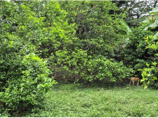 Cortijo de alto standing en venta Girardot City, Cundinamarca