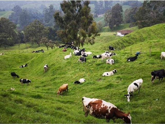 Finca en venta en Antioquia, Gómez Plata