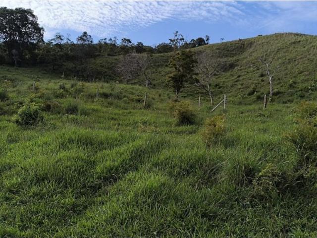 Cortijo de alto standing en venta Guacarí, Colombia