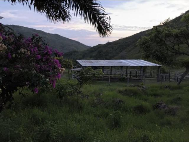 Cortijo de alto standing en venta Guacarí, Colombia