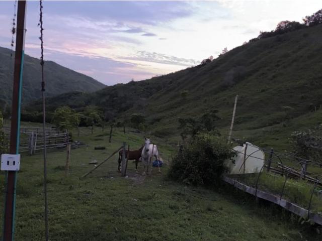 Cortijo de alto standing en venta Guacarí, Colombia