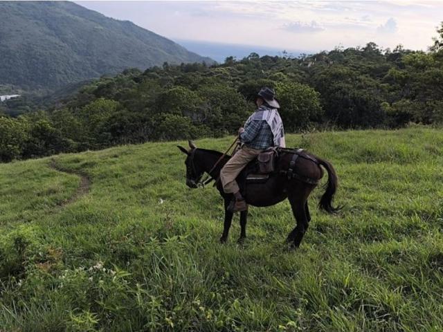 Cortijo de alto standing en venta Guacarí, Colombia