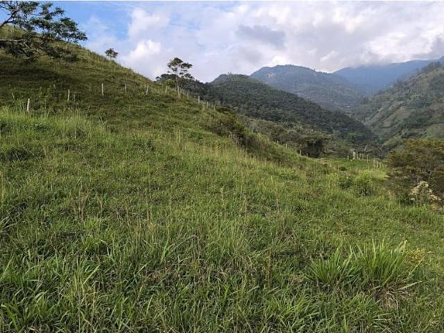 Cortijo de alto standing en venta Guacarí, Colombia
