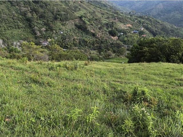 Cortijo de alto standing en venta Guacarí, Colombia