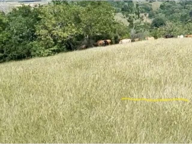 Finca en venta en Buga, Valle Del Cauca