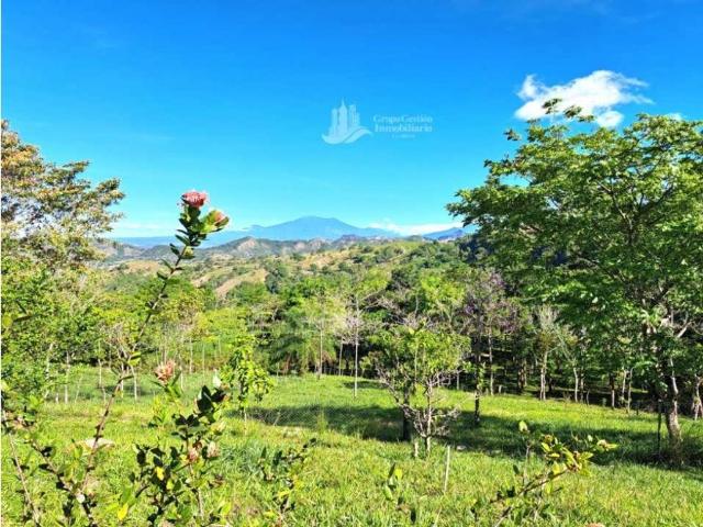 Cortijo de alto standing en venta Gualaca, Provincia de Chiriquí