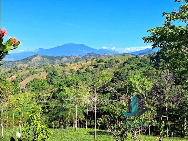 Cortijo de alto standing en venta Gualaca, Provincia de Chiriquí