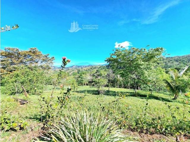 Cortijo de alto standing en venta Gualaca, Provincia de Chiriquí