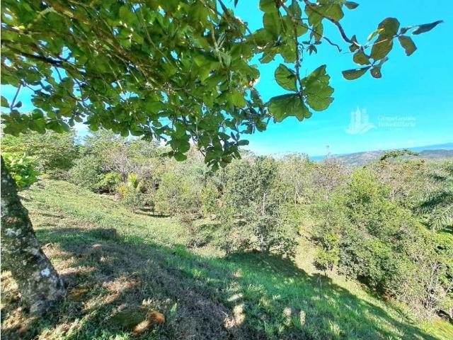 Cortijo de alto standing en venta Gualaca, Provincia de Chiriquí