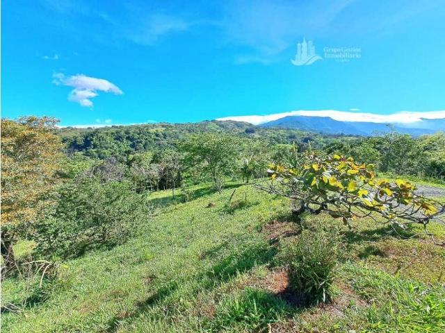 Cortijo de alto standing en venta Gualaca, Provincia de Chiriquí