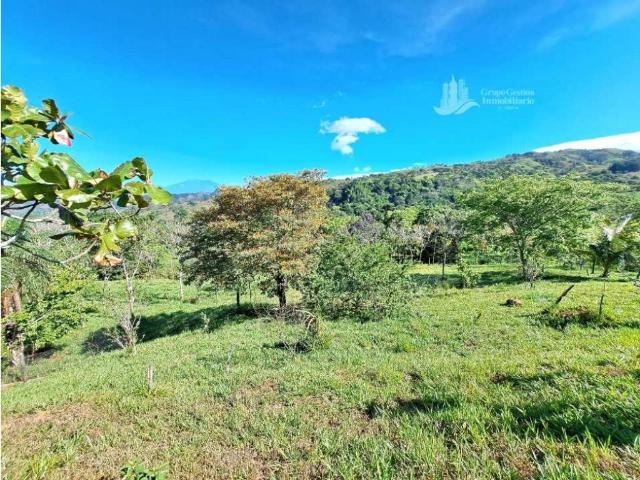 Cortijo de alto standing en venta Gualaca, Provincia de Chiriquí