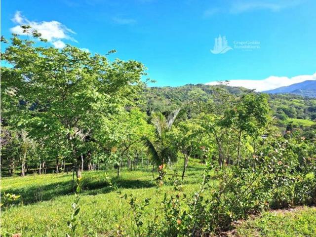Cortijo de alto standing en venta Gualaca, Provincia de Chiriquí