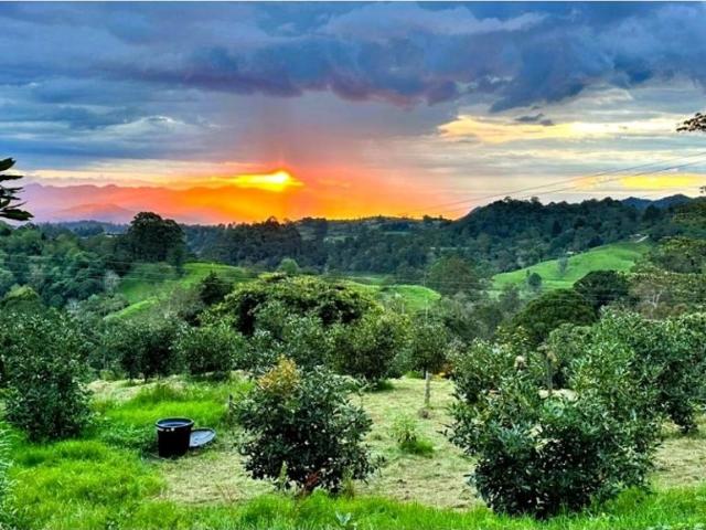 Finca en venta en Tolima