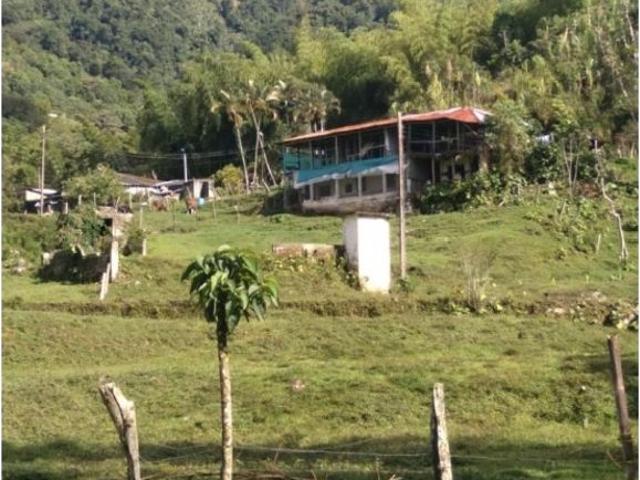 Finca en venta en Tolima