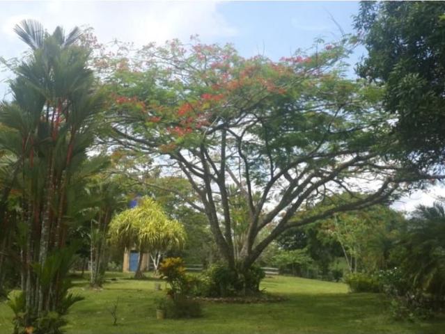 Cortijo de alto standing en venta La Chorrera, Panamá