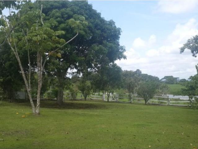 Cortijo de alto standing en venta La Chorrera, Panamá