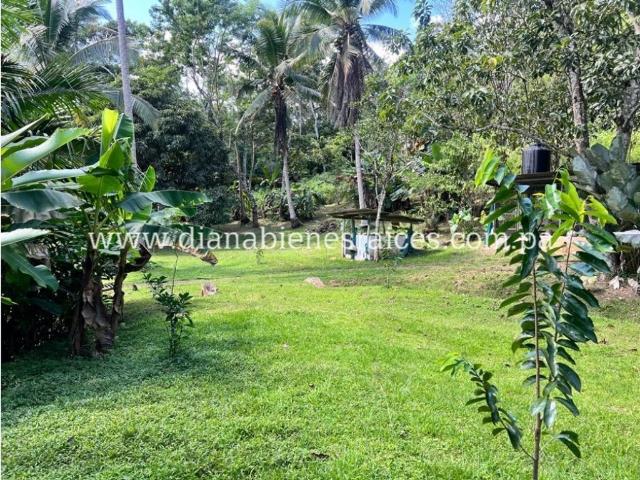 Cortijo de alto standing en venta La Chorrera, Panamá Oeste