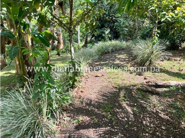 Cortijo de alto standing en venta La Chorrera, Panamá Oeste