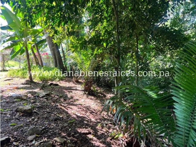 Cortijo de alto standing en venta La Chorrera, Panamá Oeste