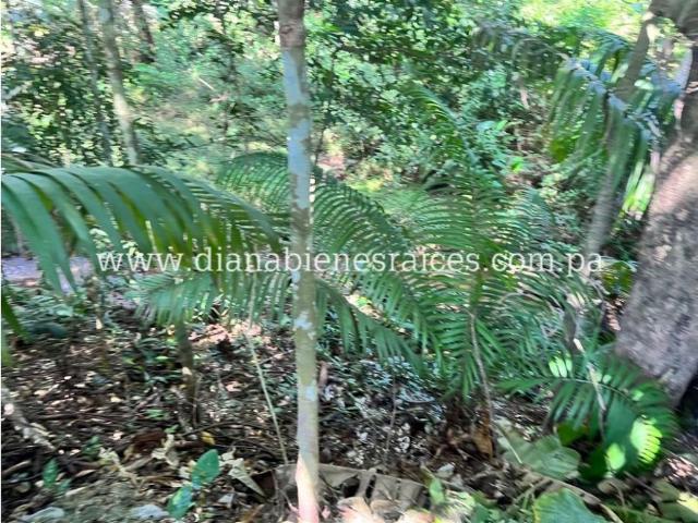 Cortijo de alto standing en venta La Chorrera, Panamá Oeste