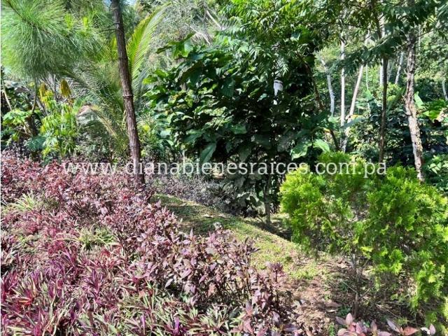 Cortijo de alto standing en venta La Chorrera, Panamá Oeste
