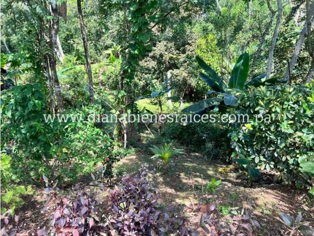 Cortijo de alto standing en venta La Chorrera, Panamá Oeste