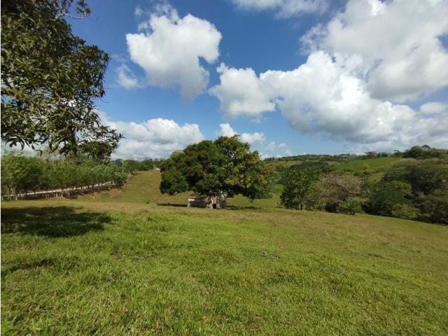 Cortijo de alto standing en venta La Chorrera, Panamá Oeste