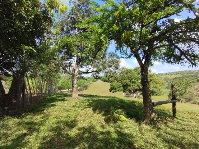Cortijo de alto standing en venta La Chorrera, Panamá Oeste