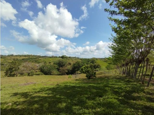 Cortijo de alto standing en venta La Chorrera, Panamá Oeste