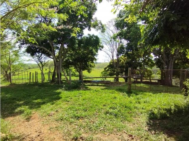 Cortijo de alto standing en venta La Chorrera, Panamá Oeste