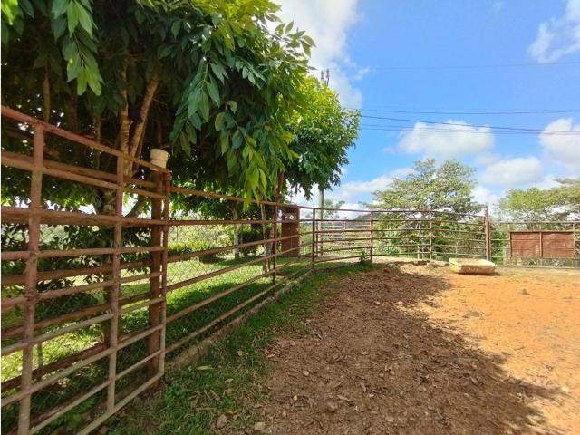 Cortijo de alto standing en venta La Chorrera, Panamá Oeste