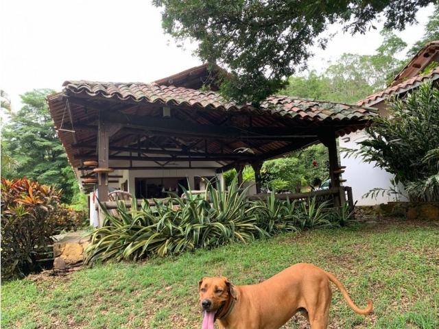 Cortijo de alto standing en venta La Mesa, Cundinamarca